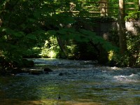 Zwischen Wohlenbttel und Oldendorf